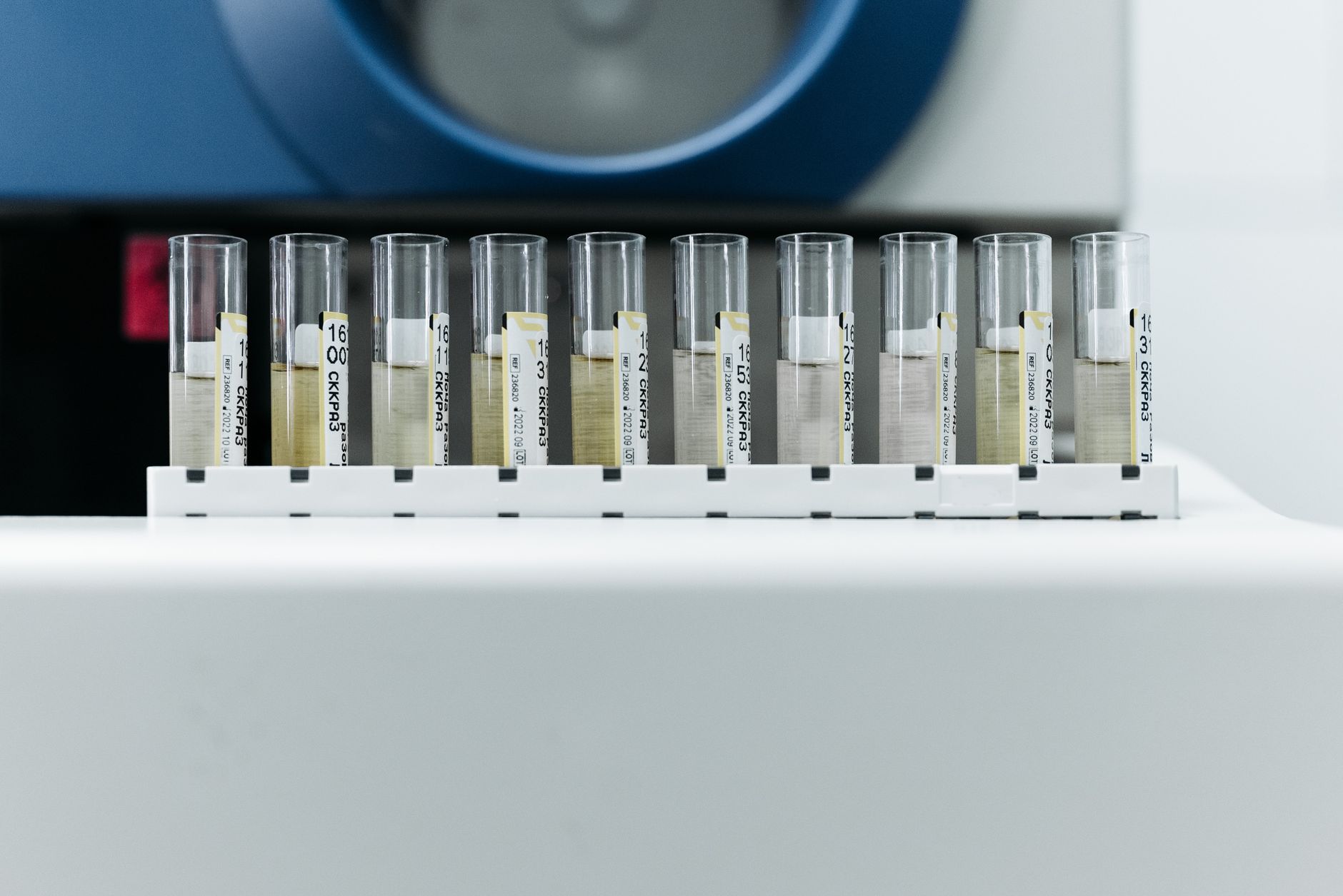 What are designer fats in cosmetics?